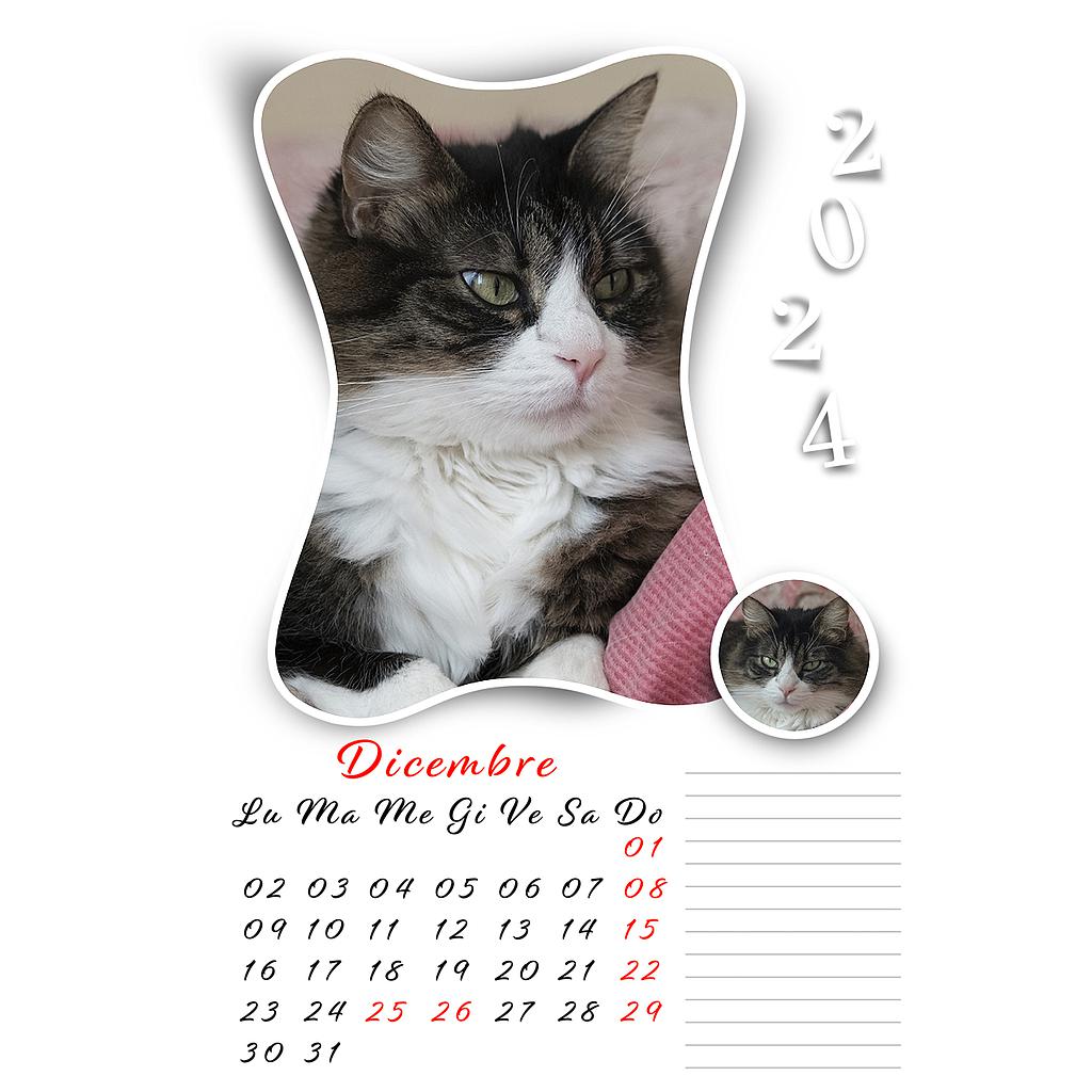 Calendario mensile 20 x 30 Cod. C2081
