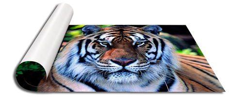 Stampe fotografiche 40 x 60