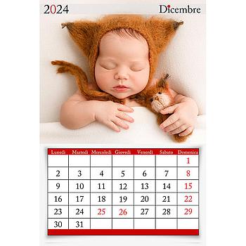 Calendario mensile 20 x 30 Cod. C790