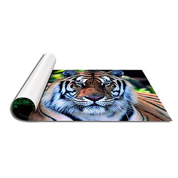 Stampe fotografiche 30 x 40